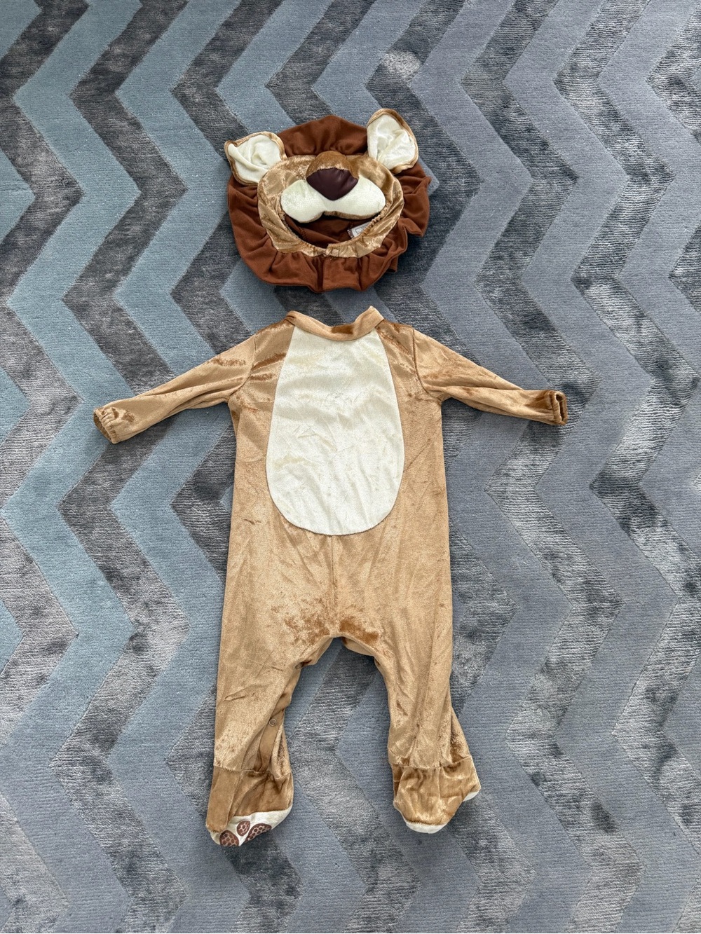 Baby Lion Two-Piece Costume